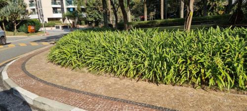 Condomínio Villaggio Panamby, Panamby São Paulo — área de lazer (foto 068)